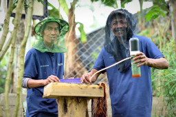 Tak Sekadar Penghijauan, Program Hutan Lestari Pertamina Tingkatkan Ekonomi Warga