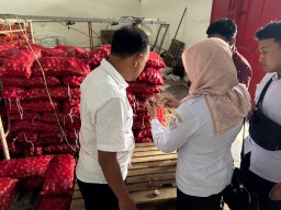 Polisi Bongkar Impor Ilegal Bawang Bombai di Malang, Sita 700 Karung dari India