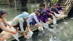 Populasi Ikan Endemik Jawa Timur Kembali Meningkat, Apa Saja?