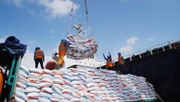 PTP Nonpetikemas Jamin Arus Logistik Tetap Mengalir 24 Jam