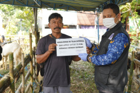 Dear Warga Kota Kediri, Beli Hewan Kurban di Tempat yang Ada Tulisan Ini