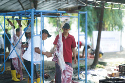Ribuan Warga Prasejahtera di Ring Satu SIER Terima Kurban Danareksa