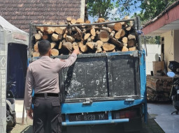 Polisi Bekuk Pelaku Pembalakan Liar di Hutan Lindung Malang