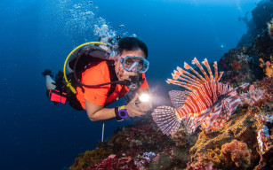Keindahan Laut dan Pelajaran Tentang Keselamatan
