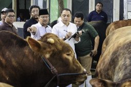 Pemkot Surabaya Perketat Pengawasan Hewan Kurban, Wajib Vaksin PMK