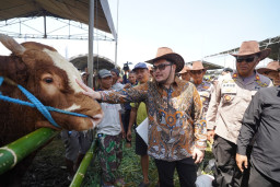 Targetkan Jadi Terbaik se-Jatim, Mas Dhito Dorong Kontes Sapi Kediri Digelar Rutin