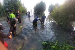Puluhan Ormas Gotong Royong Hijaukan Kawasan Sontoh Laut Surabaya