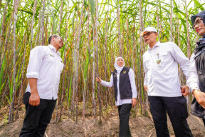 Khofifah Komitmen Jatim Garda Terdepan Penguatan Industri Gula Nasional