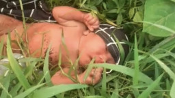 Bayi Dibuang di Pinggir Sawah Kediri Diserahkan ke Dinsos, Polisi Buru Ibu Kandung