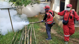 Belasan Warga Jember Terserang DBD, PMI Lakukan Fogging dan PSN Serentak