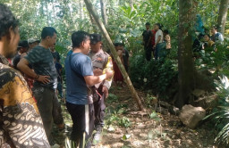 Pencari Kayu Temukan Kerangka Manusia di Bukit Tungu Kalisat Jember