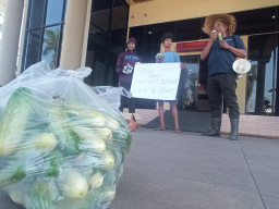 Kecewa Harga Mentimun Rp500 per Kg, Petani Jember Bagikan Panen Gratis