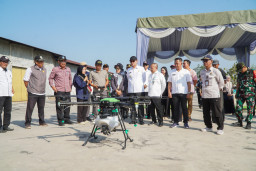 Ribuan Hektar Sawah di Lamongan Diserang Wereng, Bupati Kerahkan Drone