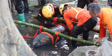4 Fakta Penemuan Bom Udara di Blitar: Berbobot 100 Kg, Dipastikan Masih Aktif