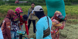 Serapan Gabah Bulog Kediri Lampaui Target, Tembus Setara 73.561 Ton Beras
