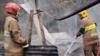 Kandang Ayam di Wates Kediri Terbakar, Kerugian Tembus Rp400 Juta