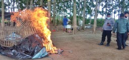 Polisi Bakar Arena Judi Sabung Ayam di Banyuwangi