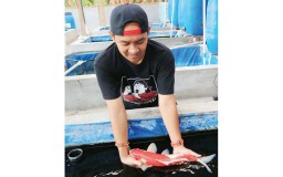 Kisah Sukses ASN di Ponorogo Budidaya Ikan Koi