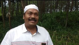 Tujuh Kecamatan di Probolinggo Terserang Hama Ulat Pohon Sengon
