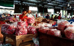 Komoditas Berkualitas dan Murah, PIOS Jadi Langganan Pengusaha Kuliner