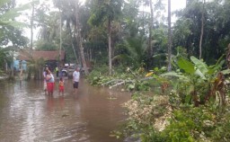 Dua Dusun di Banyuwangi Disapu Angin Kencang, 15 Rumah Rusak