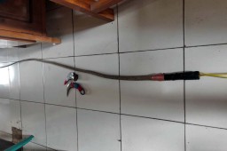 Tak Terima Ayahnya Ditantang Duel, Pemuda ini Tusuk Mantan Karyawan