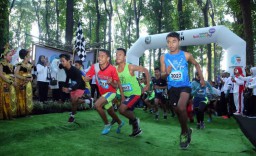 Begini Keseruan Banyuwangi Gombengsari Plantation Run 2019