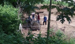 Batu Andesit Ditemukan di Situs Pendharmaan Mahesa Cempaka Mojokerto