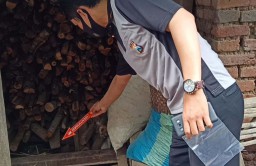 Begini Kesadisan Ibu yang Pukuli Bayinya hingga Tewas di Ponorogo