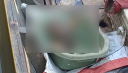 Mayat Bayi Ditemukan di Sungai Mangrove Surabaya