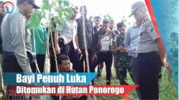 Video: Bayi Penuh Luka Ditemukan di  Hutan Ponorogo