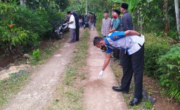 Bocah 3 Tahun di Pacitan Tewas Tertabrak Truk yang Disopiri Ayahnya