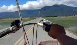Menikmati Wisata Alam Pedesaan di Chingshang Taiwan