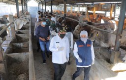 Idul Adha, Pemprov Ajak Masyarakat Jatim Terapkan Protokol Kesehatan