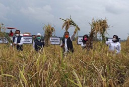 Peningkatan Produktivitas Gabah dan Beras di Ponorogo Tertinggi se Jatim