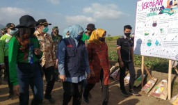 Wisata Paralayang Kini Bisa Dinikmati di Trawas, Mojokerto