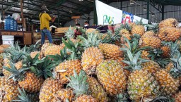 Buah Nanas di PIOS Jadi Buruan Pelanggan