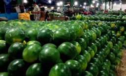 Musim Kemarau, Penjualan Buah Segar di PIOS Meningkat