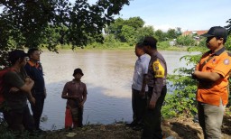 Buaya yang Muncul di Sungai Brantas Kota Kediri Diduga Sengaja Dilepas