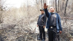Padamkan Kebakaran di Gunung Ijen, Bupati Anas Minta Water Bombing