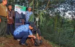 Peringati Hari Lingkungan Hidup Sedunia, Bupati Trenggalek Tanam Pohon