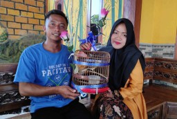 So Sweet... Pemuda di Ponorogo Pilih Burung Kenari Jadi Mas Kawin Pernikahan