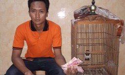 Pemuda ini Disergap saat Jual Burung Jalak ke Polisi
