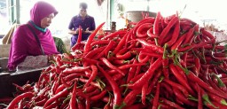Harga Cabai Merah di PIOS Stabil Jelang Tahun Baru 2021