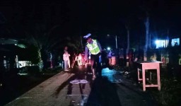 Gadis Pengendara Motor Tewas Tertabrak Pikap di Banyuwangi