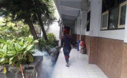 Kasus Demam Berdarah Tulungagung Tertinggi di Jawa Timur