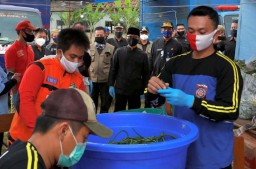Empat Santri Konfirm Covid-19 di Pesantren Banyuwangi Sembuh