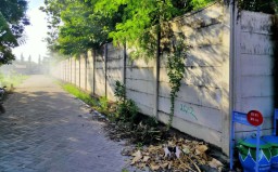 13 Orang Terjangkit Demam Berdarah di Kota Probolinggo