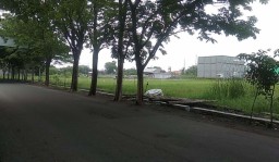 Video Viral Pengendara Motor Onani Diduga di Sidoarjo