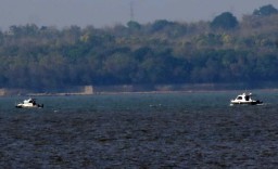 Ikan Mati Mirip Hiu Diduga di Dekat Suramadu Belum Ditemukan